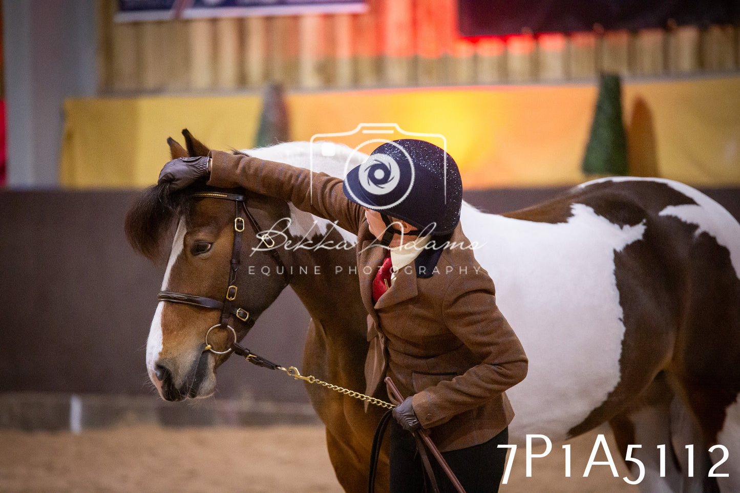 Home Farm Spring Show 2026 - In Hand