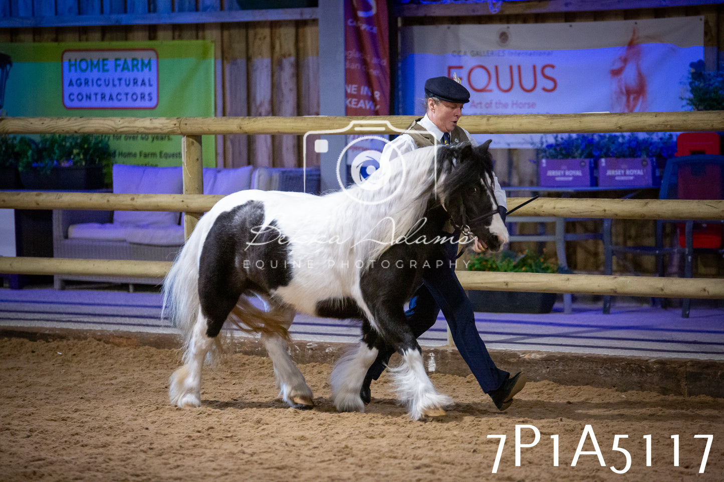 Home Farm Spring Show 2026 - In Hand