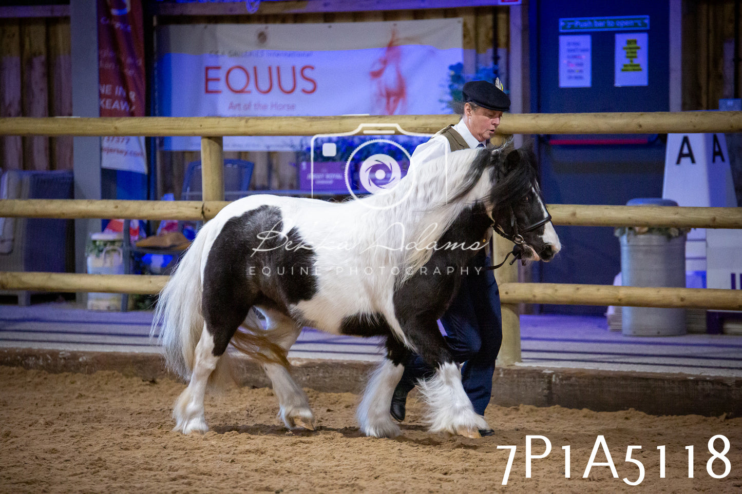 Home Farm Spring Show 2026 - In Hand