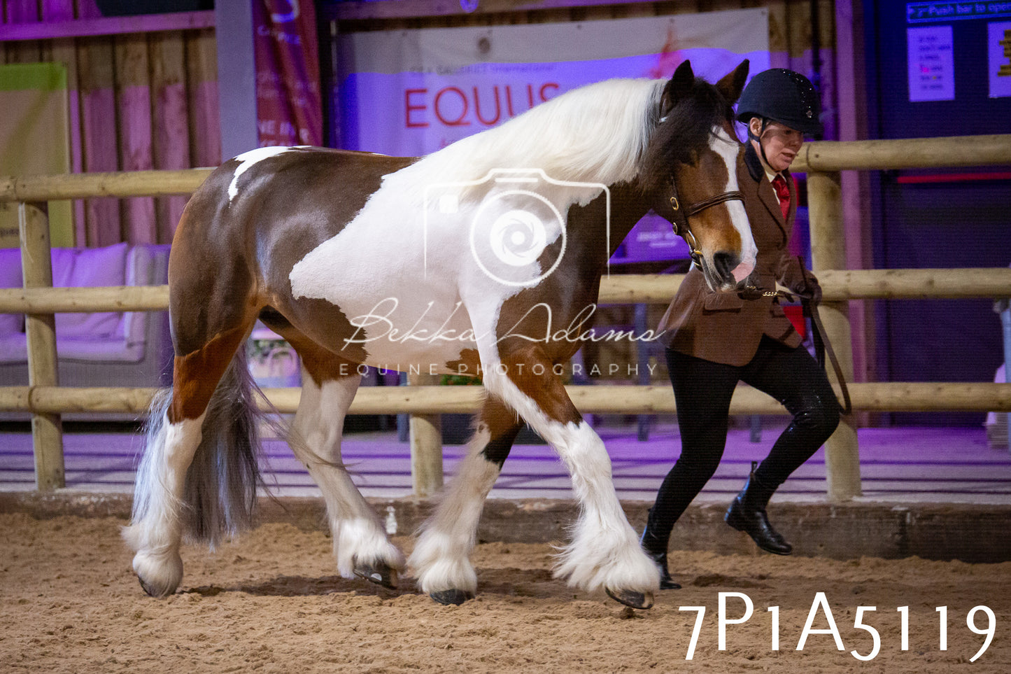 Home Farm Spring Show 2026 - In Hand