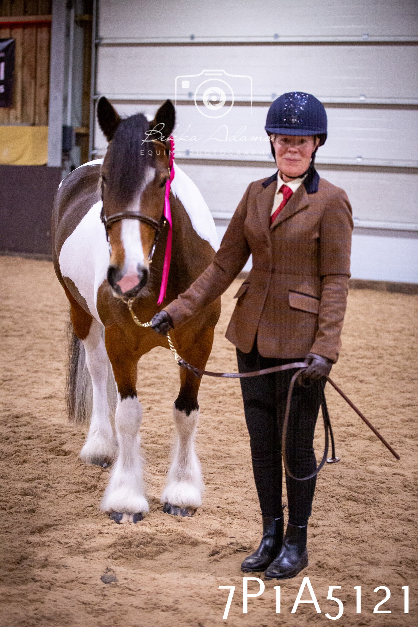 Home Farm Spring Show 2026 - In Hand