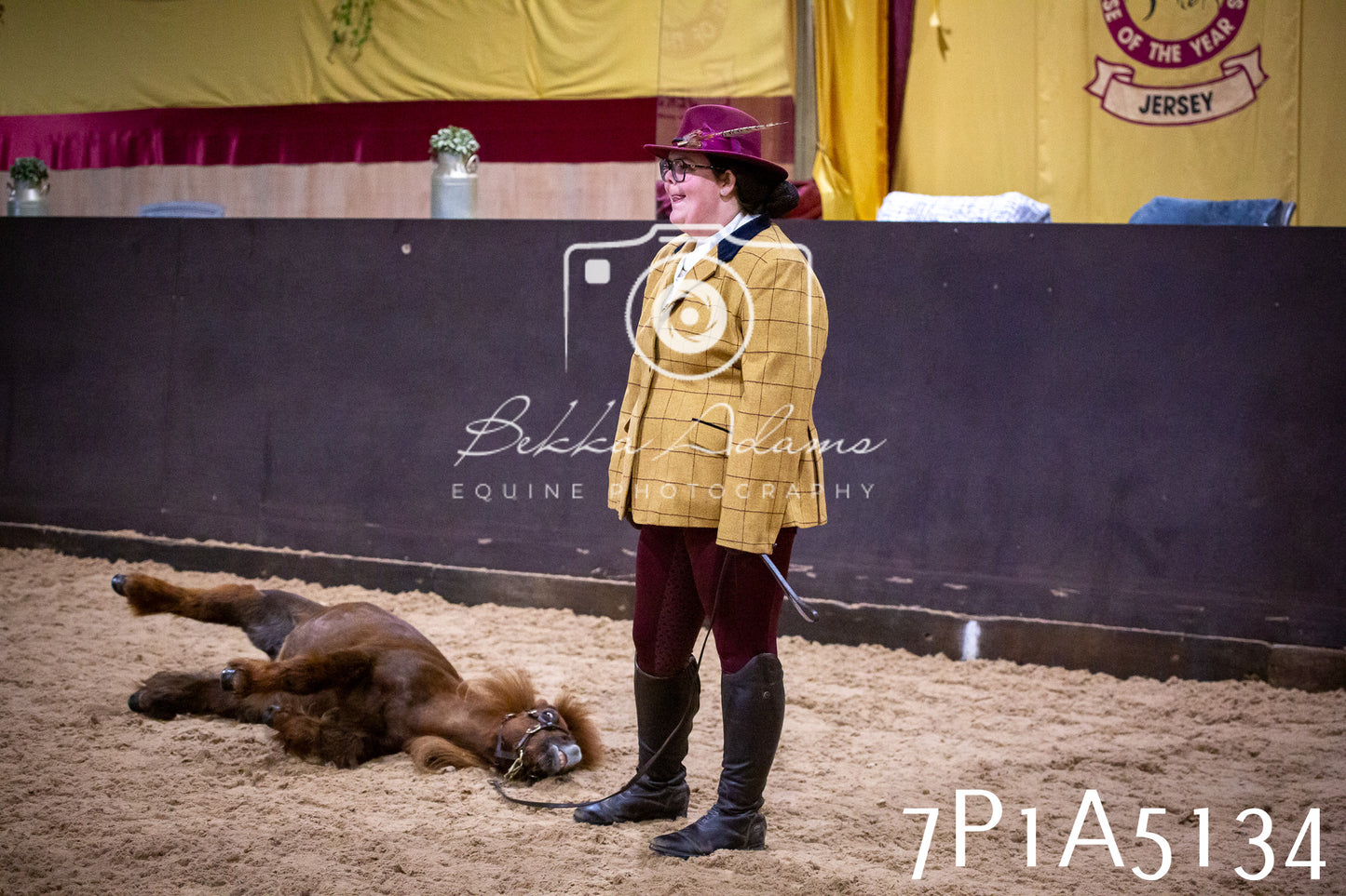 Home Farm Spring Show 2026 - In Hand