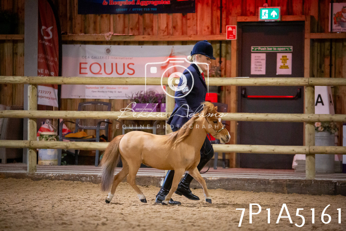 Home Farm Spring Show 2026 - In Hand