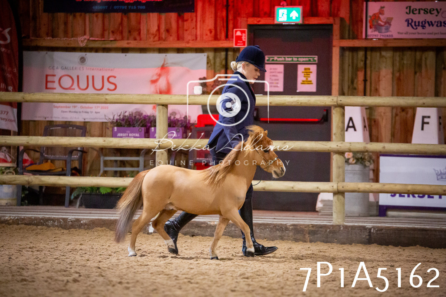 Home Farm Spring Show 2026 - In Hand