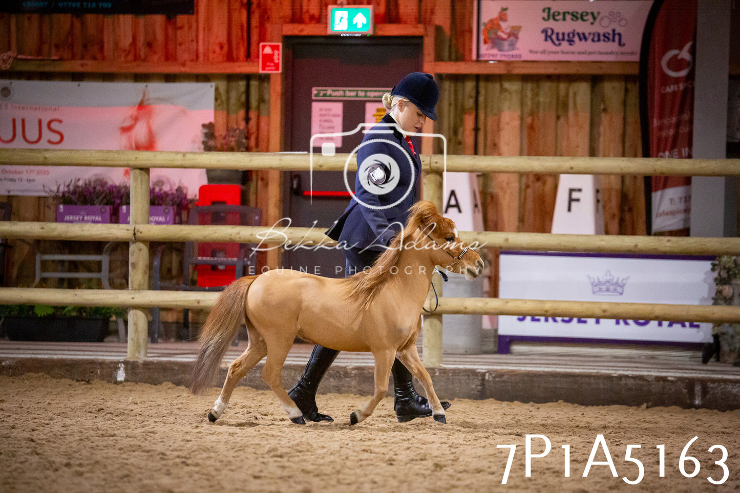 Home Farm Spring Show 2026 - In Hand