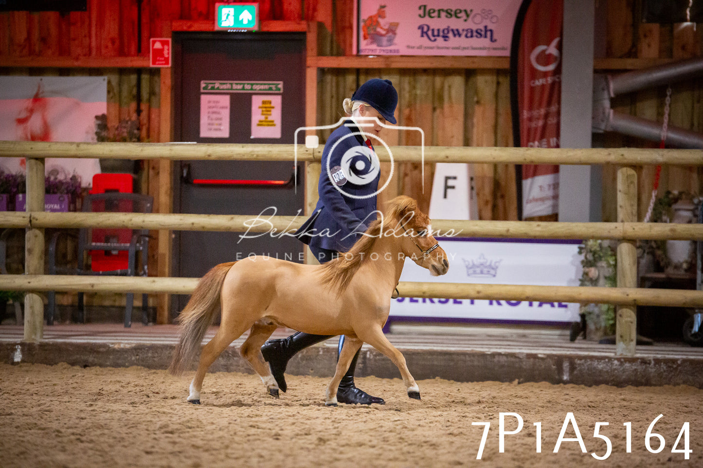 Home Farm Spring Show 2026 - In Hand