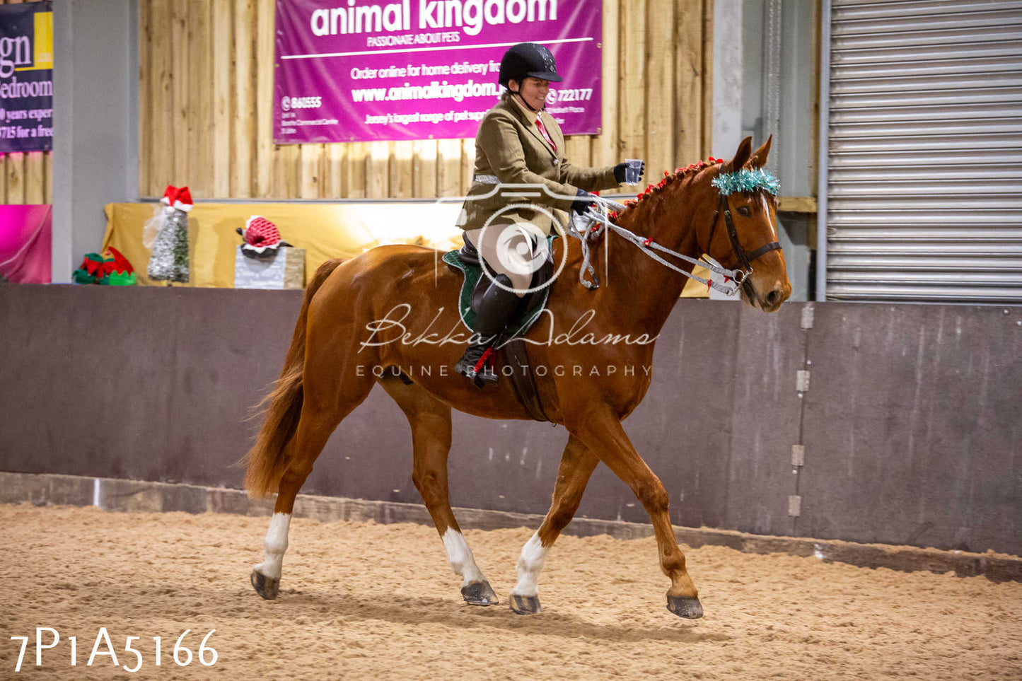 Home Farm Christmas Show 2024 - Ridden (Fun Classes)