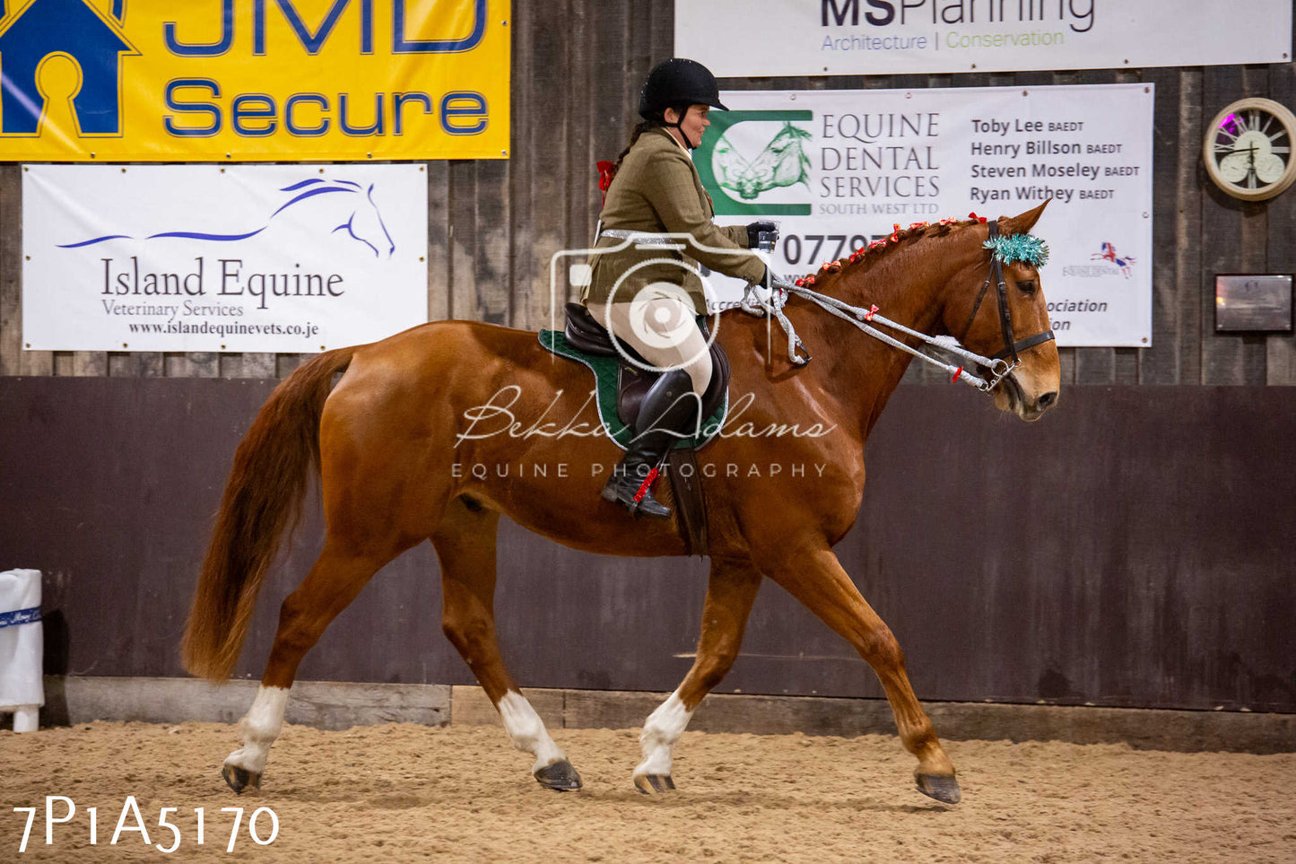 Home Farm Christmas Show 2024 - Ridden (Fun Classes)