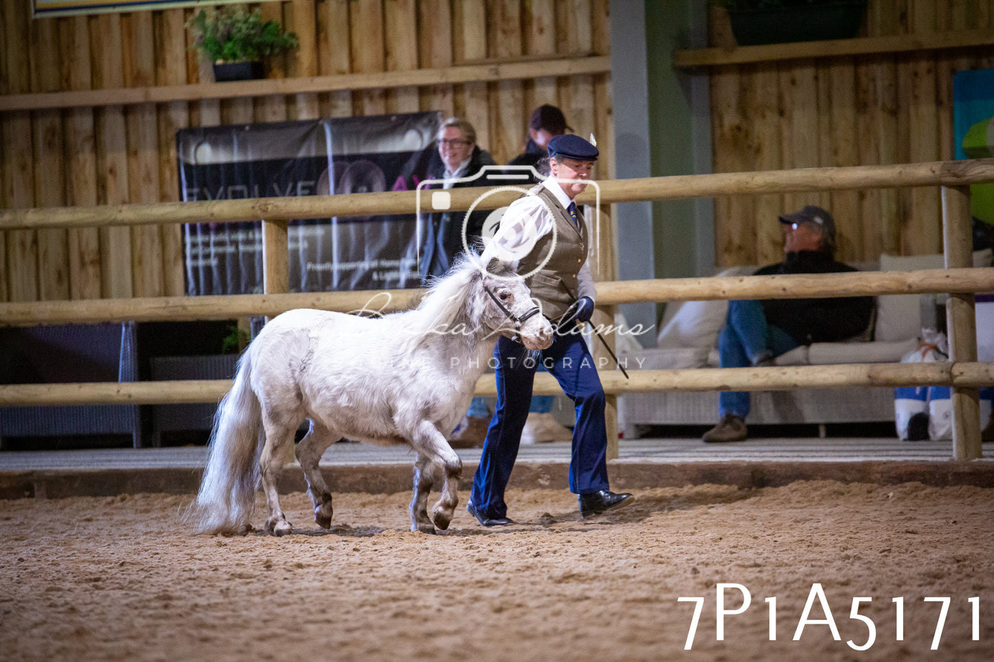 Home Farm Spring Show 2026 - In Hand