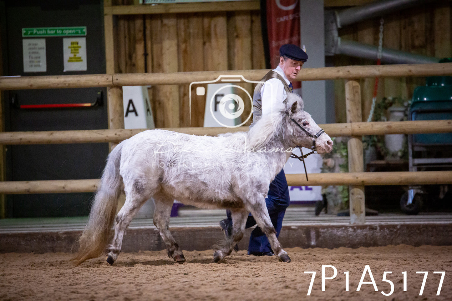 Home Farm Spring Show 2026 - In Hand