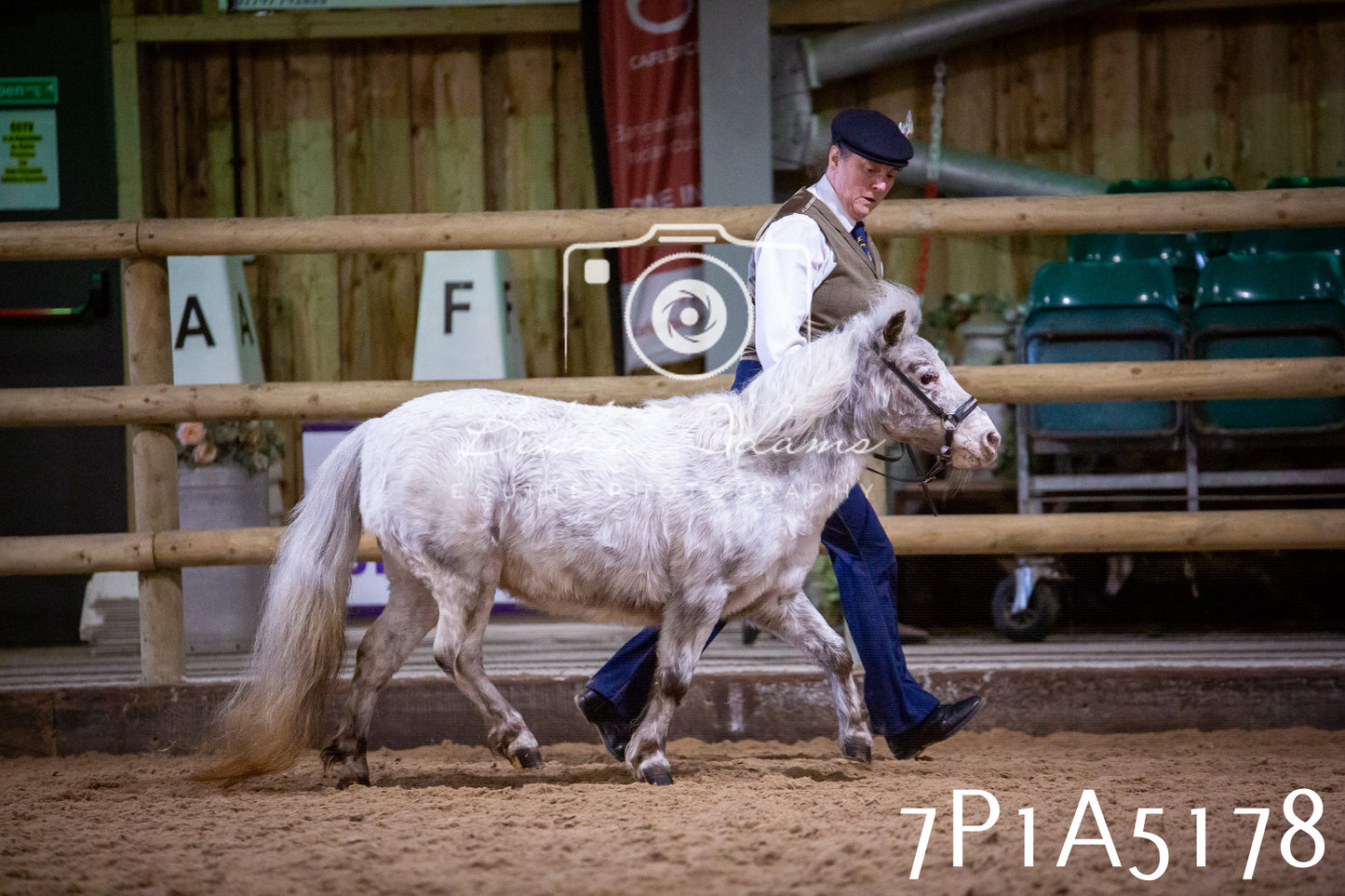 Home Farm Spring Show 2026 - In Hand