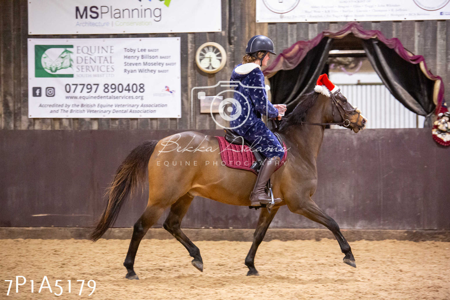 Home Farm Christmas Show 2024 - Ridden (Fun Classes)