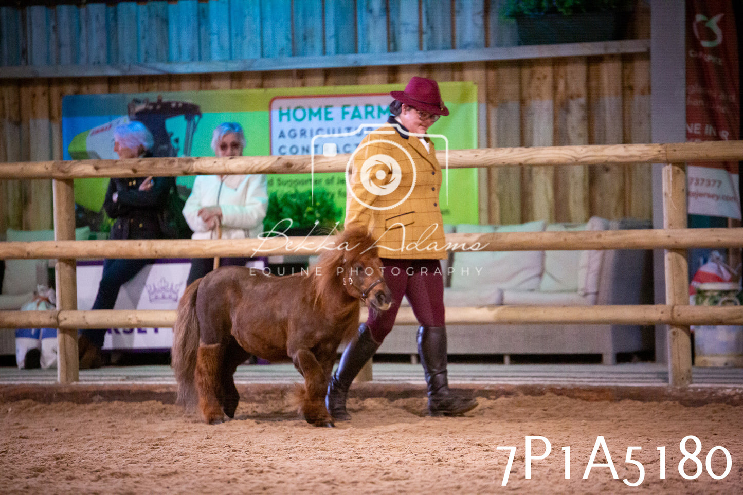 Home Farm Spring Show 2026 - In Hand