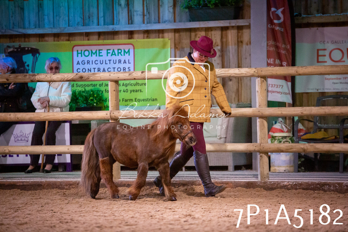 Home Farm Spring Show 2026 - In Hand