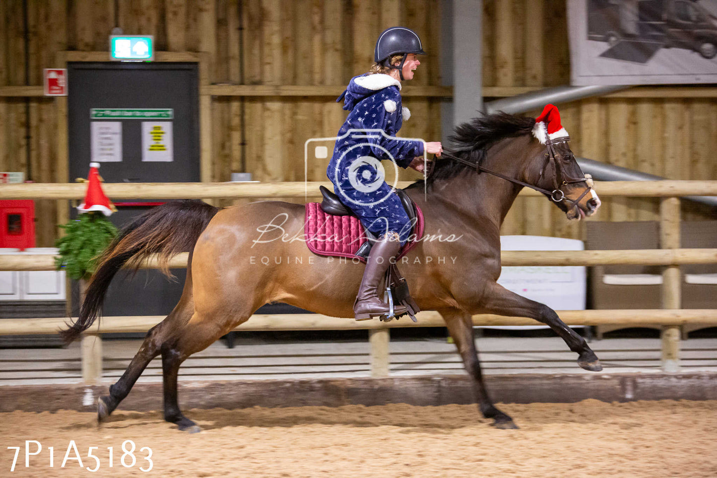 Home Farm Christmas Show 2024 - Ridden (Fun Classes)