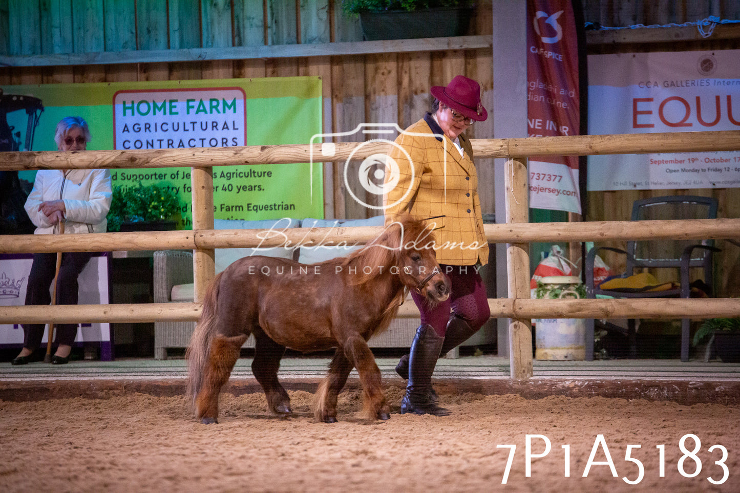 Home Farm Spring Show 2026 - In Hand