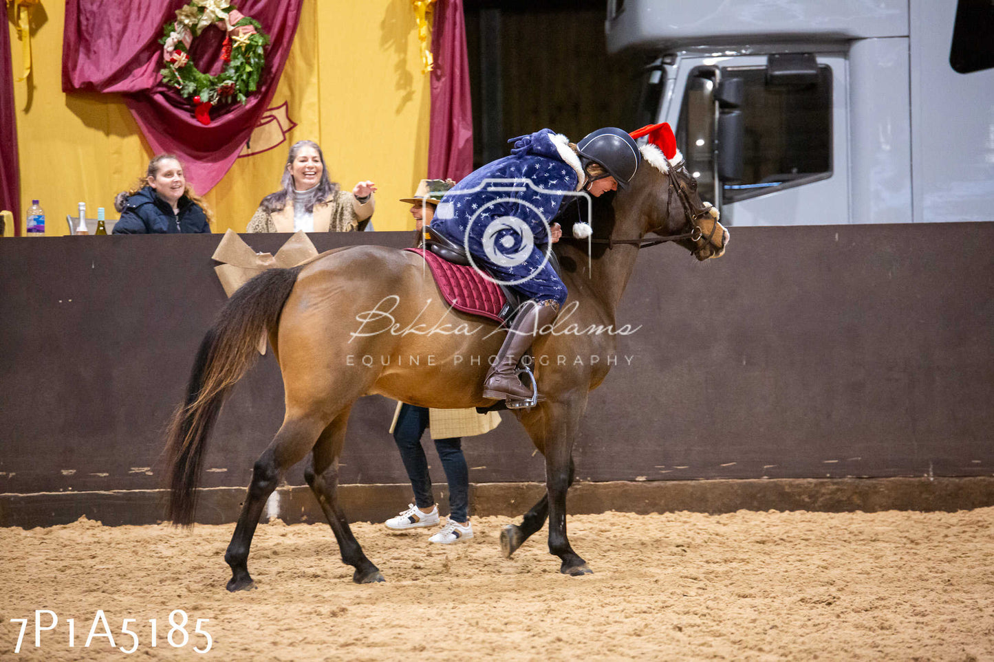 Home Farm Christmas Show 2024 - Ridden (Fun Classes)