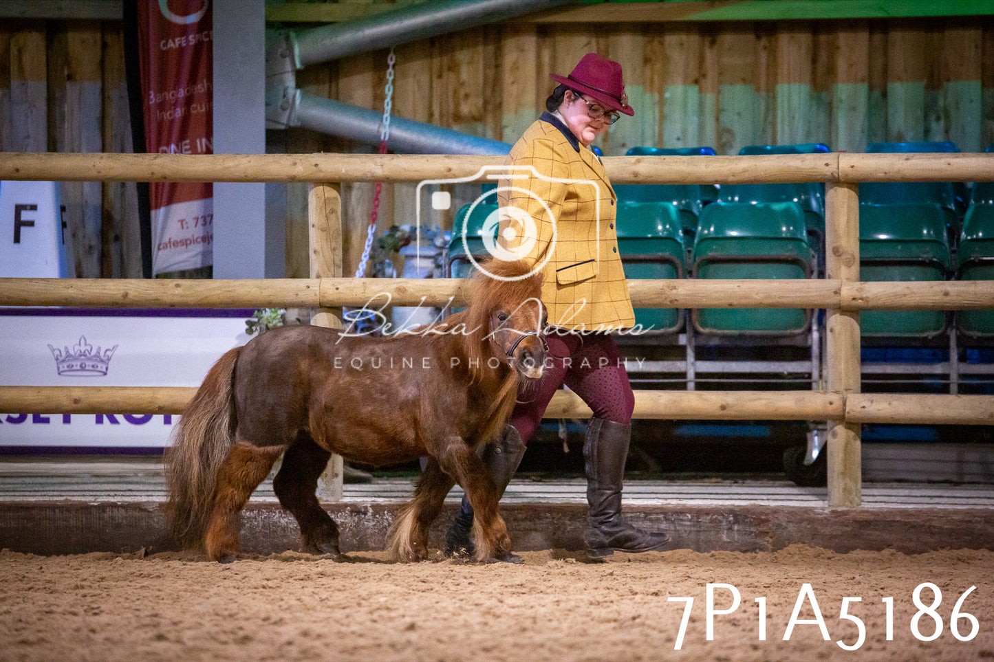Home Farm Spring Show 2026 - In Hand