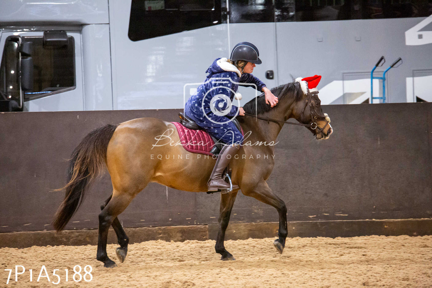 Home Farm Christmas Show 2024 - Ridden (Fun Classes)