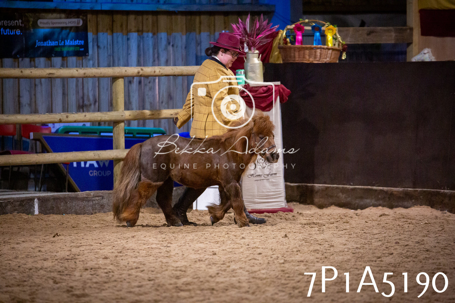 Home Farm Spring Show 2026 - In Hand