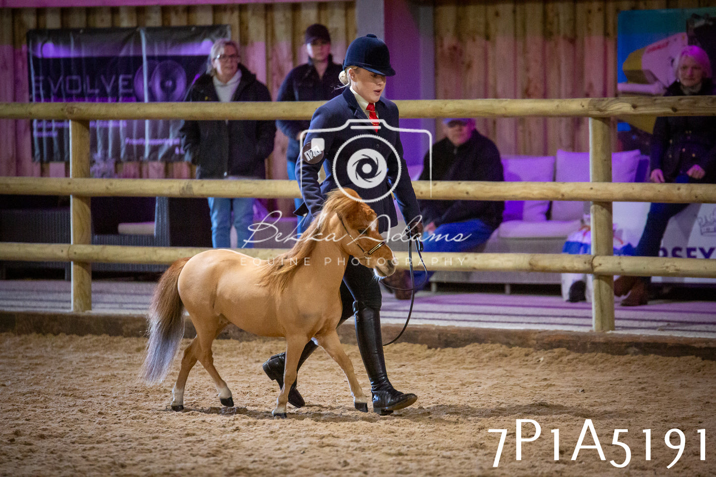 Home Farm Spring Show 2026 - In Hand