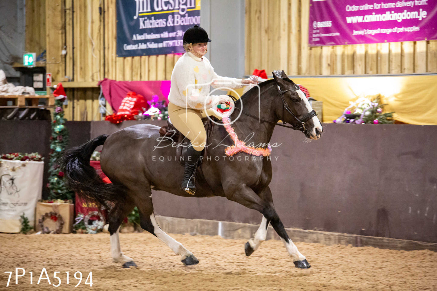 Home Farm Christmas Show 2024 - Ridden (Fun Classes)