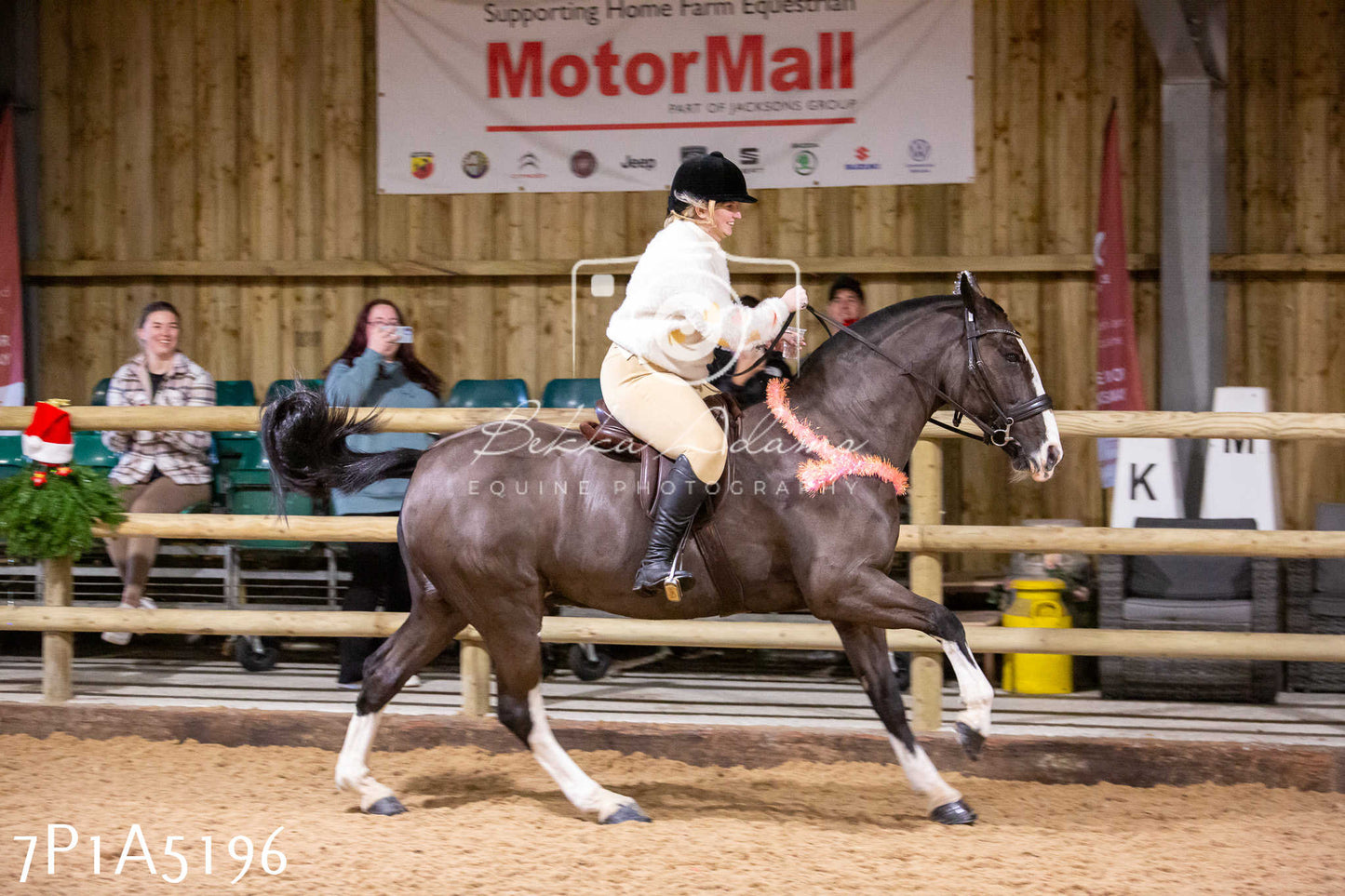 Home Farm Christmas Show 2024 - Ridden (Fun Classes)