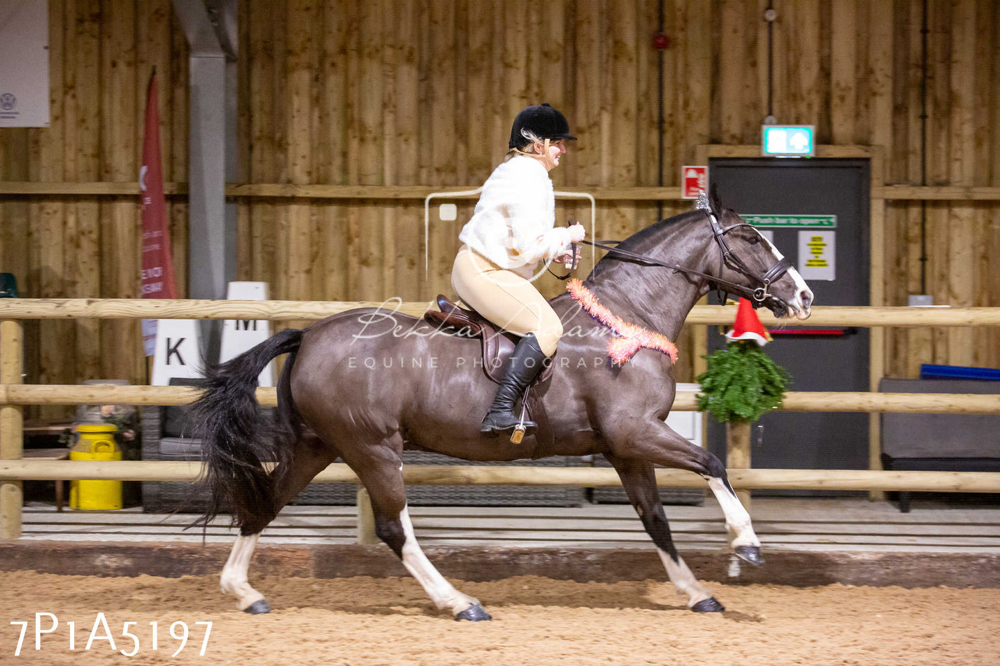 Home Farm Christmas Show 2024 - Ridden (Fun Classes)