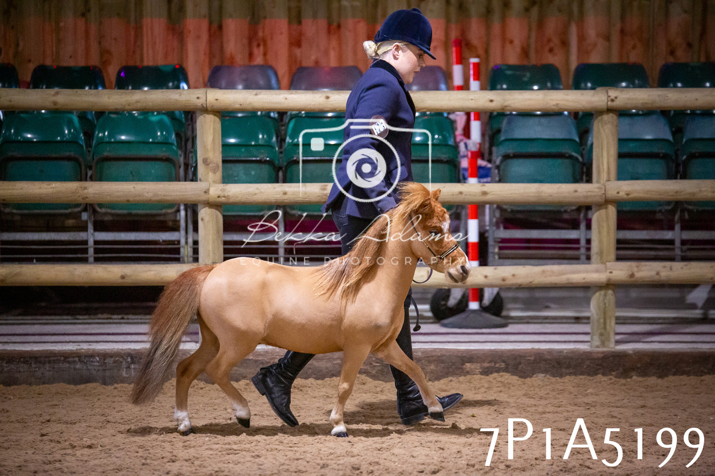 Home Farm Spring Show 2026 - In Hand