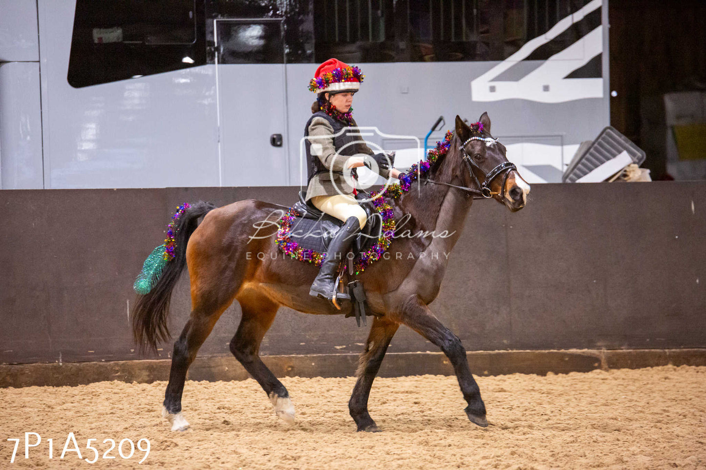 Home Farm Christmas Show 2024 - Ridden (Fun Classes)