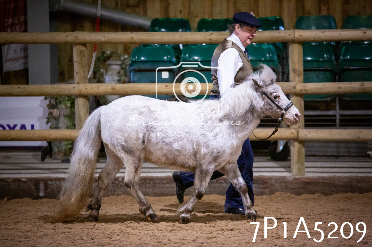 Home Farm Spring Show 2026 - In Hand