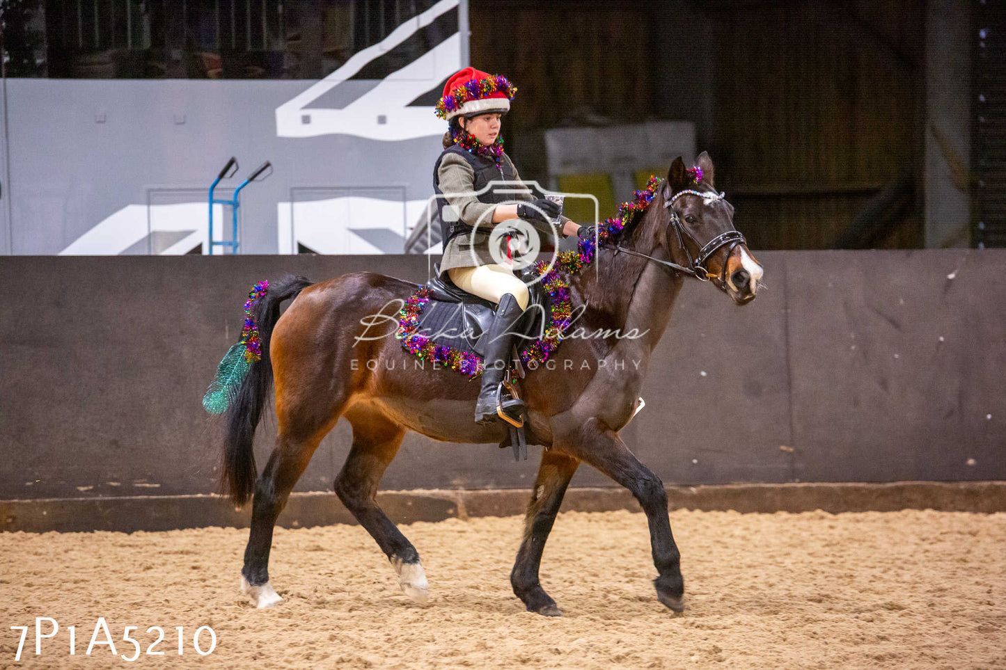 Home Farm Christmas Show 2024 - Ridden (Fun Classes)