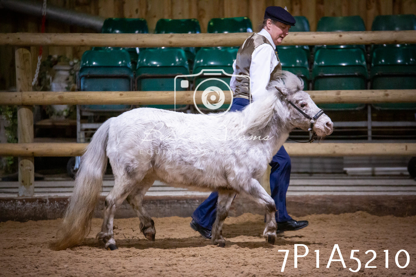 Home Farm Spring Show 2026 - In Hand