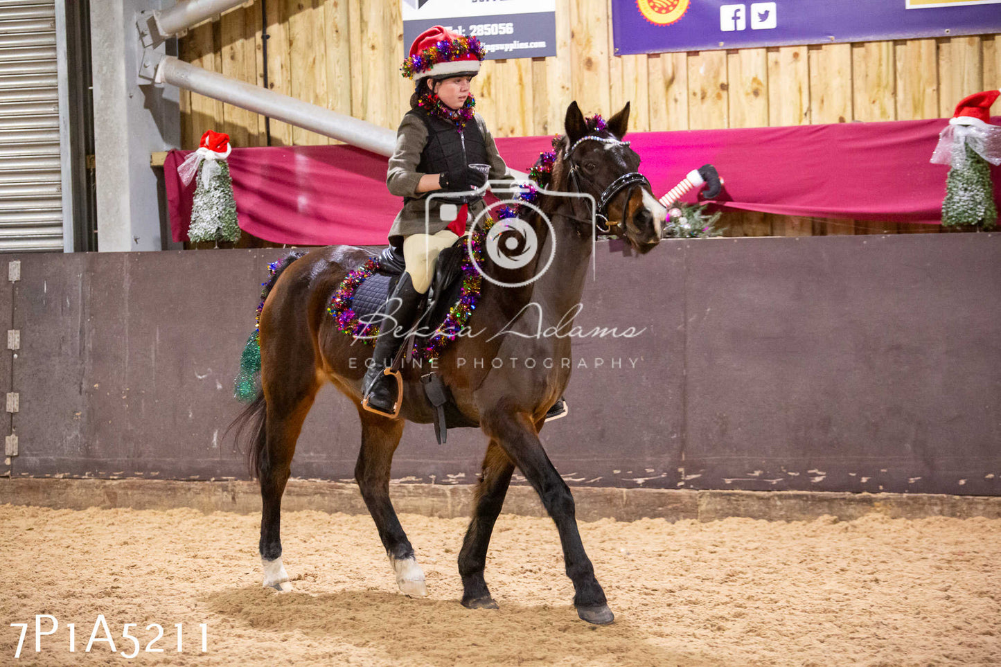 Home Farm Christmas Show 2024 - Ridden (Fun Classes)