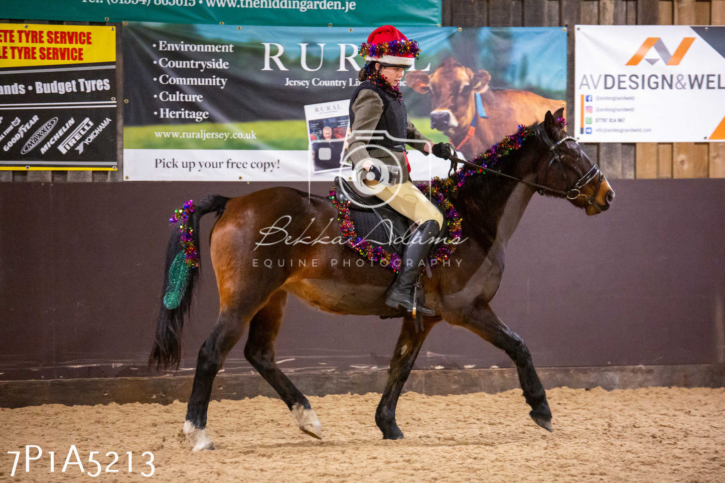 Home Farm Christmas Show 2024 - Ridden (Fun Classes)