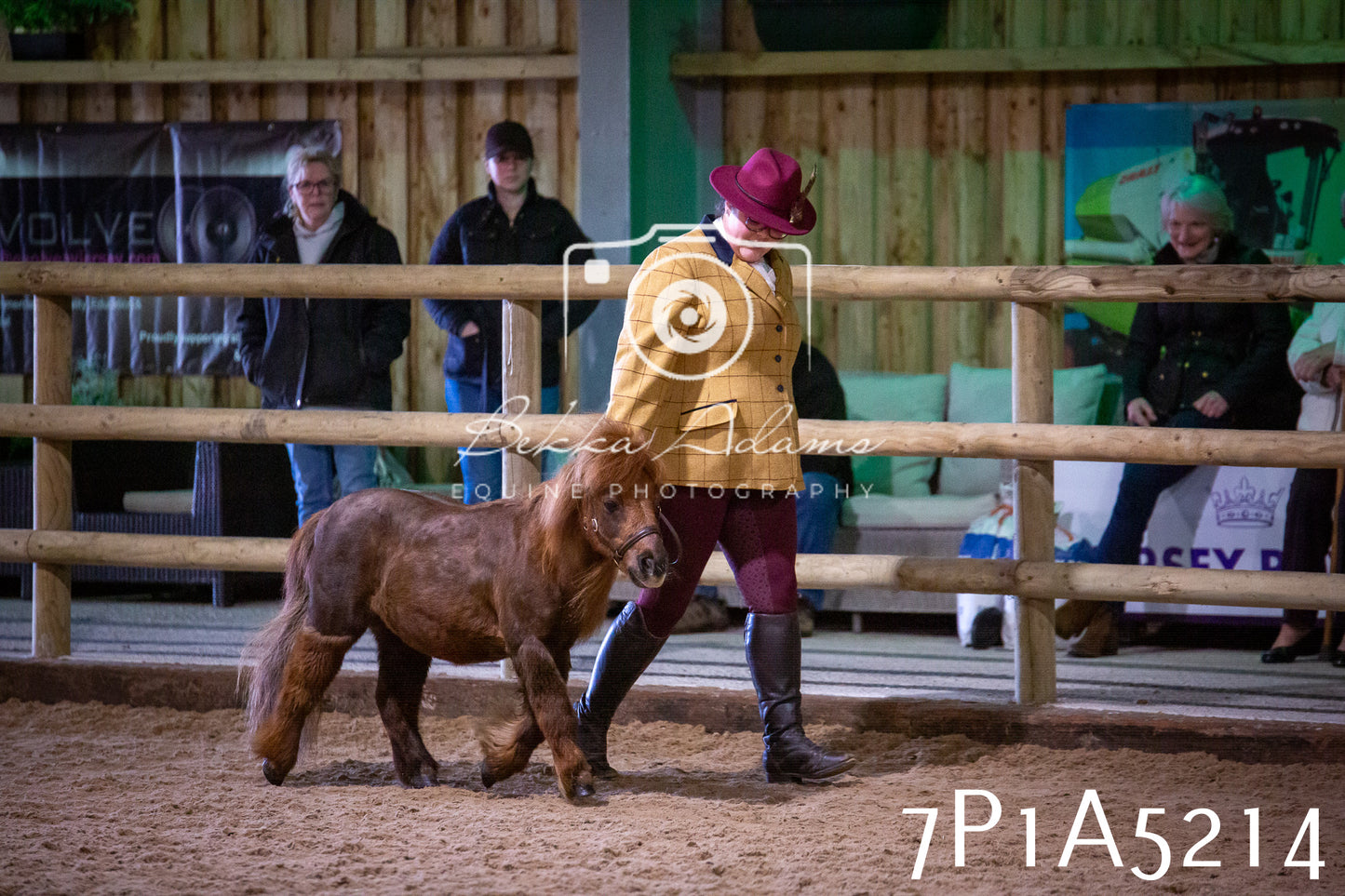 Home Farm Spring Show 2026 - In Hand