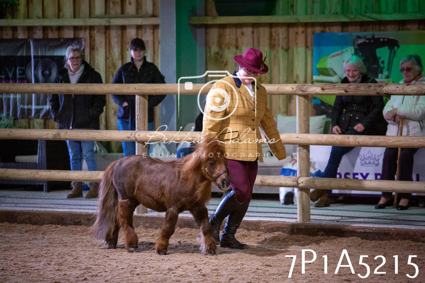 Home Farm Spring Show 2026 - In Hand