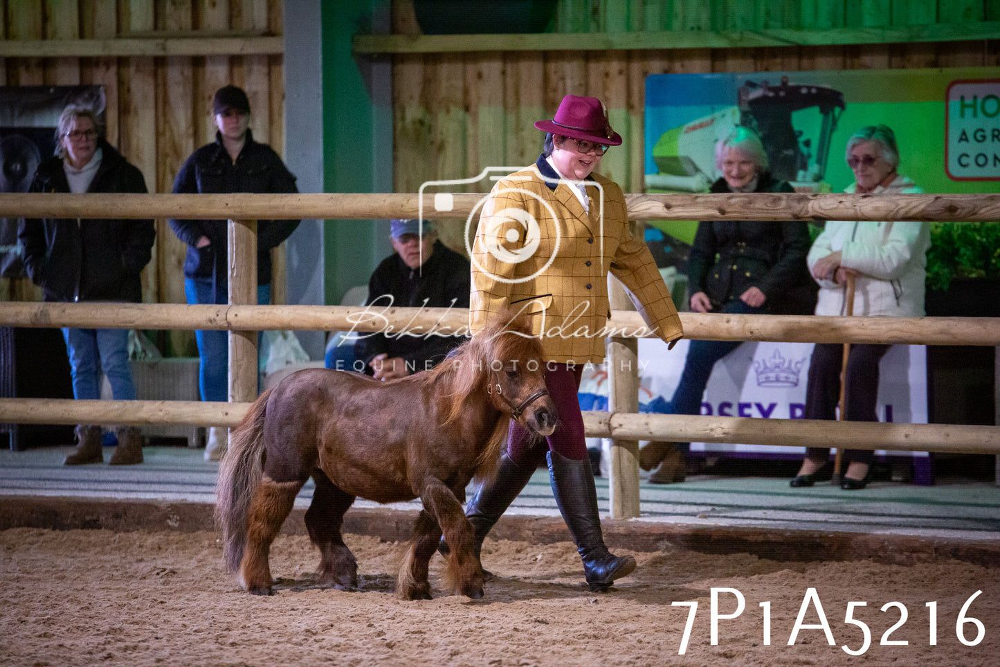 Home Farm Spring Show 2026 - In Hand