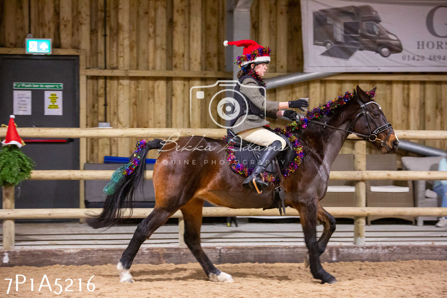 Home Farm Christmas Show 2024 - Ridden (Fun Classes)