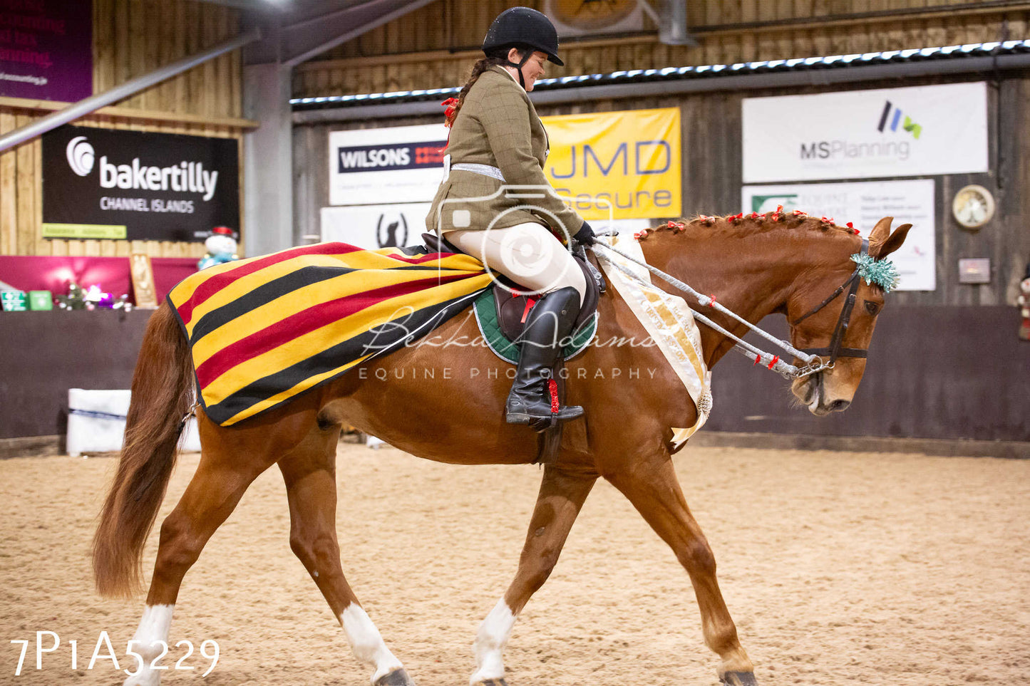 Home Farm Christmas Show 2024 - Ridden (Fun Classes)