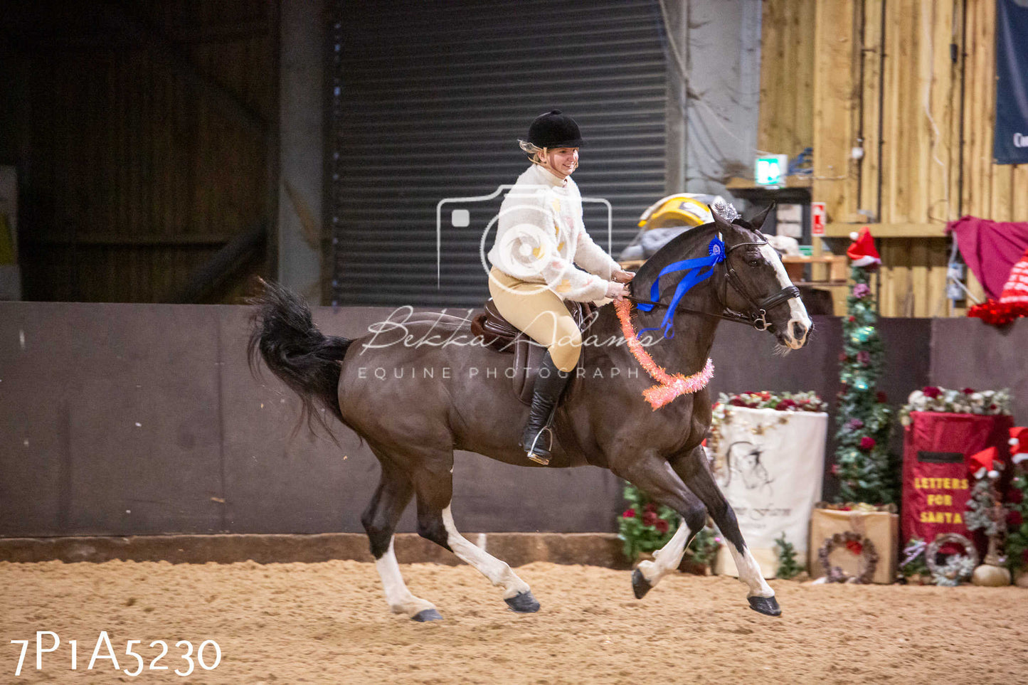 Home Farm Christmas Show 2024 - Ridden (Fun Classes)