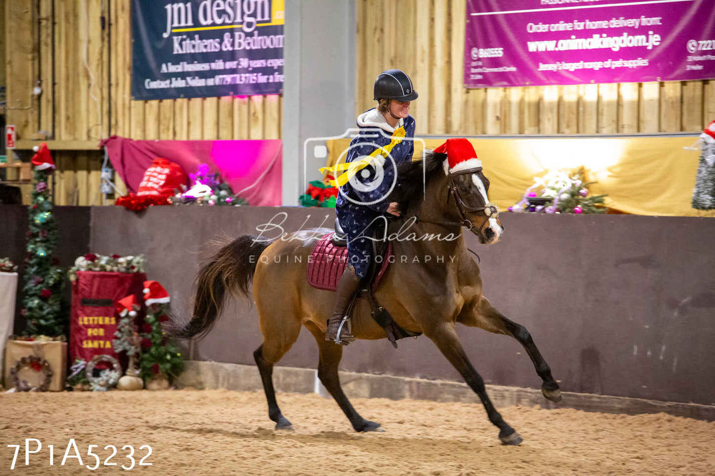 Home Farm Christmas Show 2024 - Ridden (Fun Classes)