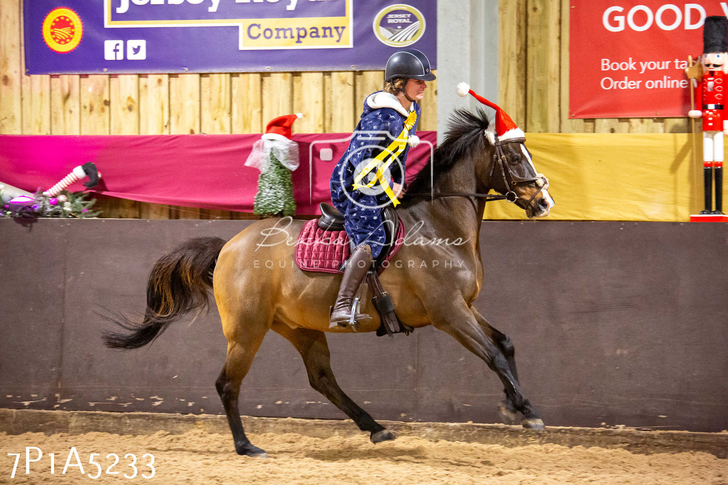 Home Farm Christmas Show 2024 - Ridden (Fun Classes)