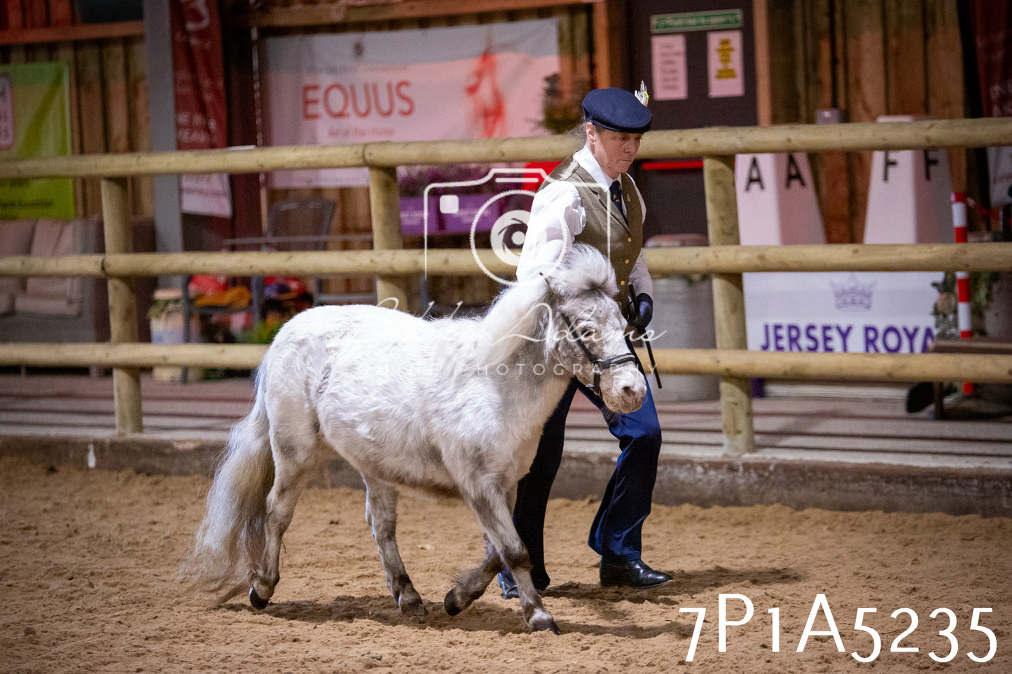Home Farm Spring Show 2026 - In Hand