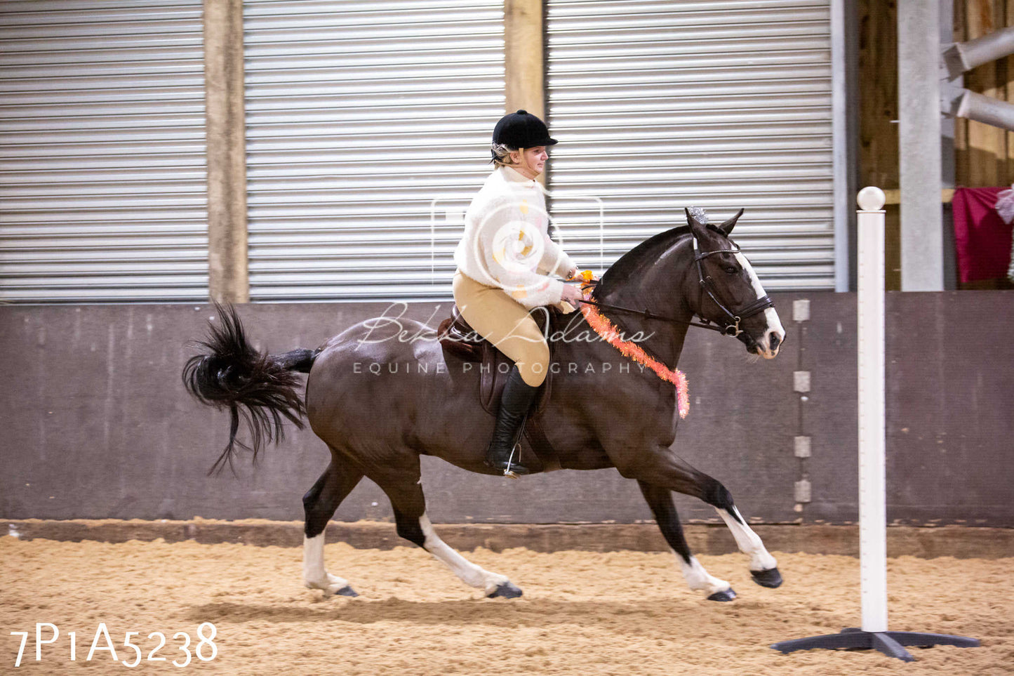 Home Farm Christmas Show 2024 - Ridden (Fun Classes)