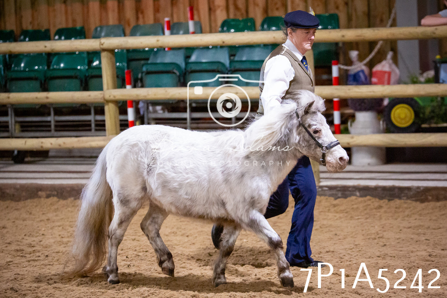 Home Farm Spring Show 2026 - In Hand