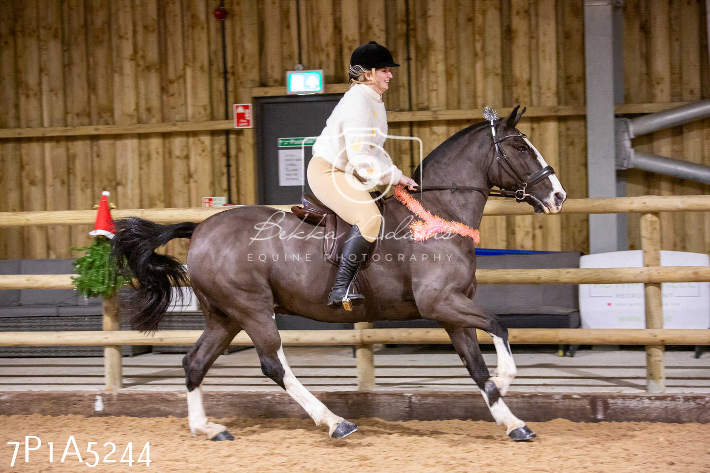 Home Farm Christmas Show 2024 - Ridden (Fun Classes)