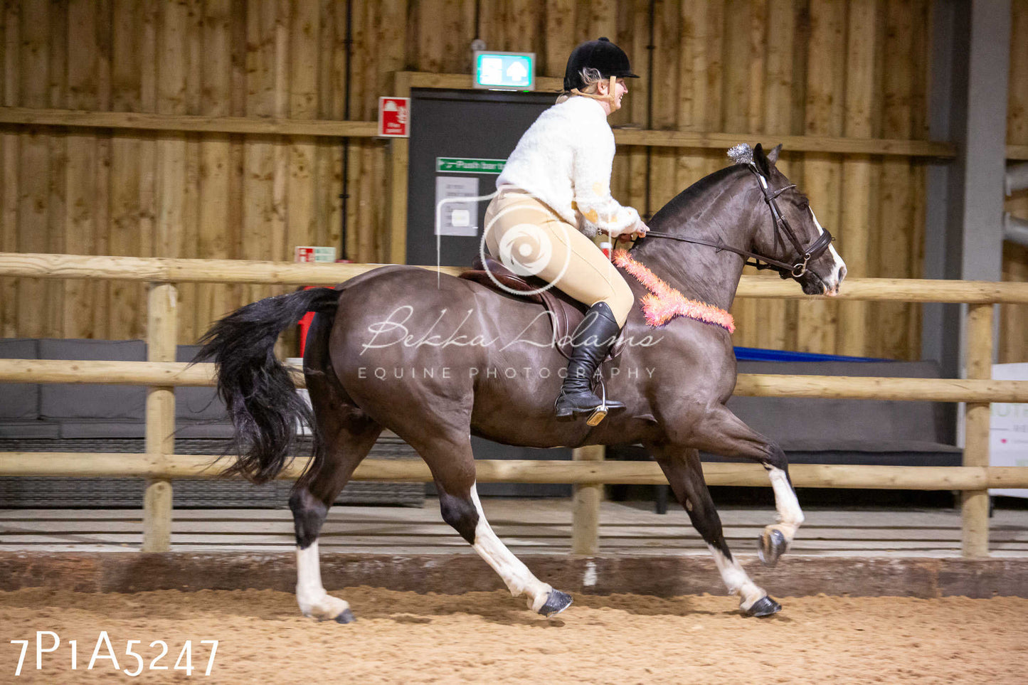 Home Farm Christmas Show 2024 - Ridden (Fun Classes)