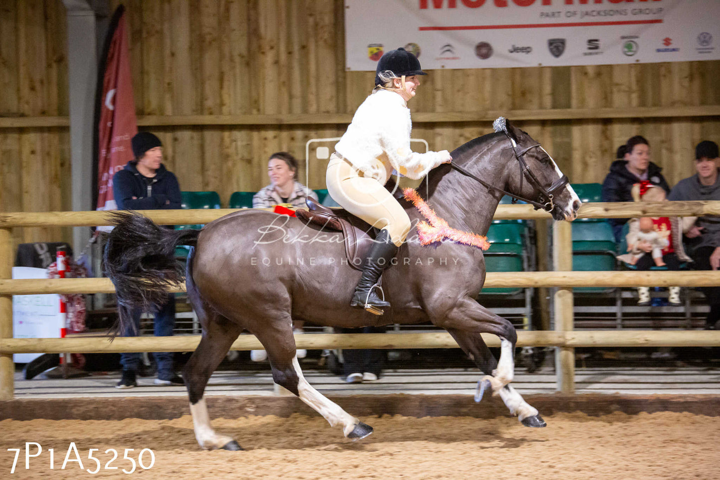 Home Farm Christmas Show 2024 - Ridden (Fun Classes)