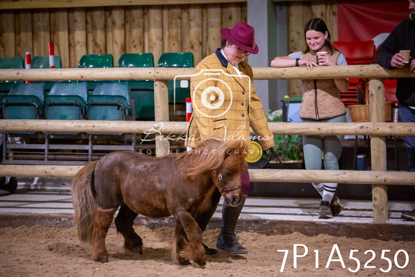 Home Farm Spring Show 2026 - In Hand